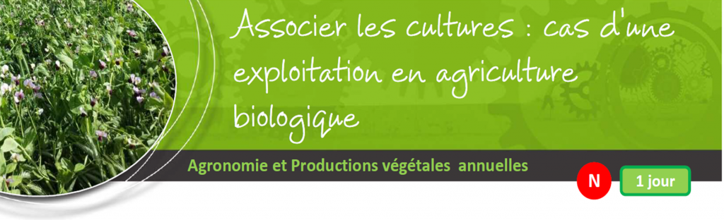 Formation  : Associer les cultures, en agriculture bio