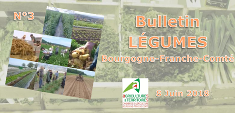 Bulletin légumes BFC