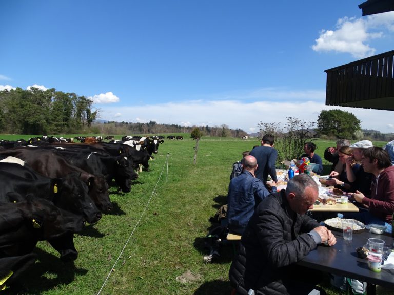 Groupe lait bio : découverte des fermes laitières Suisses
