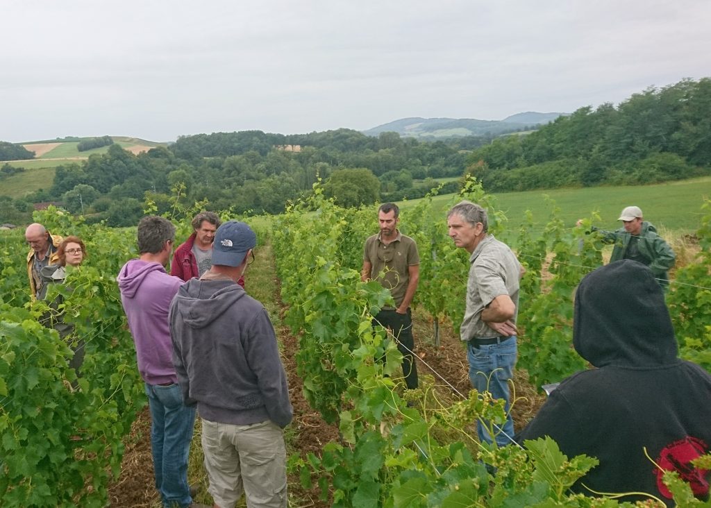 La viticulture biologique et le changement climatique – retour sur la journée du 15 juillet au Domaine Didier Grappe